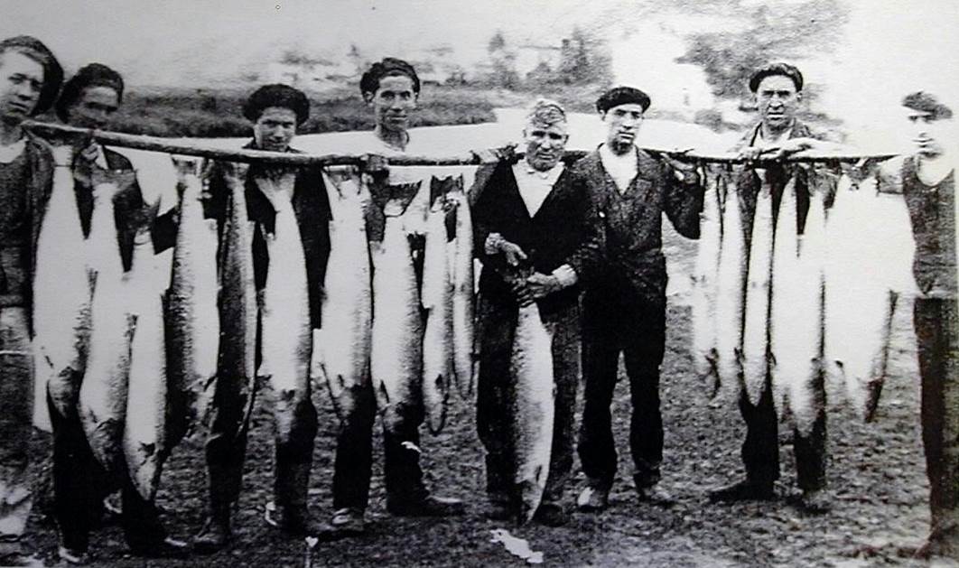 Shrinking fish research picture of old salmon fishermen spain 2.jpg